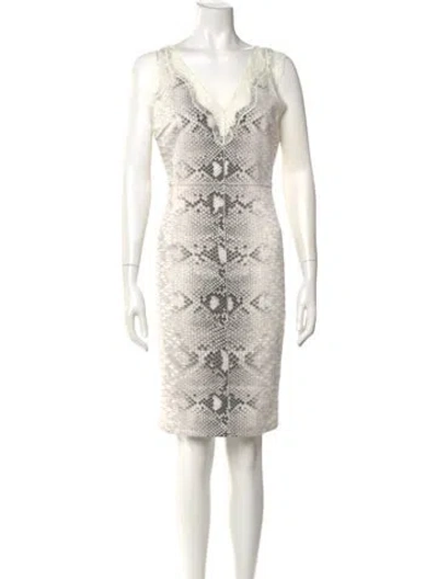 Pre-owned Alberto Makali Animal Print Knee-length Dress In Neutral