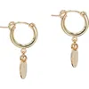 Albisia Oro Hoops In Multi
