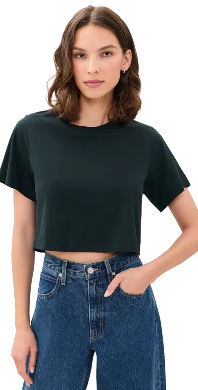 A.l.c A. L.c. Kali Tee Botanic In Green