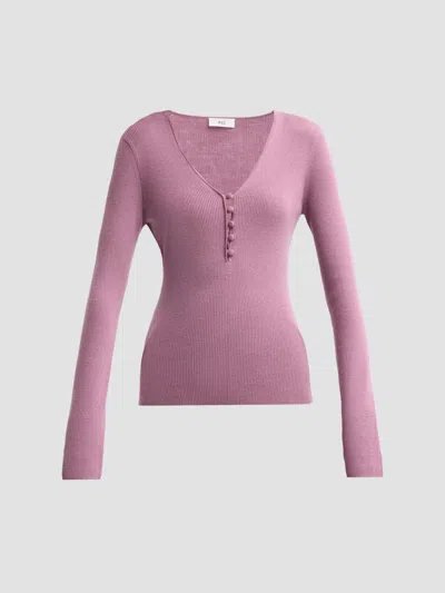 A.l.c A. L.c. Women's Tate Virgin Wool-blend V-neck Sweater In Purple