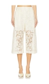 A.l.c A. L.c. Bodie Shorts Cream In Cream
