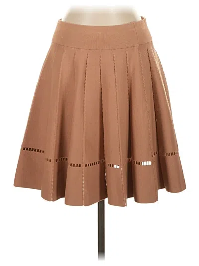 Pre-owned A.l.c Casual Skirt In Brown