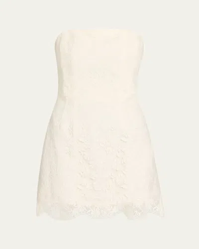 A.l.c Eliana Strapless Lace Mini Dress In Gray