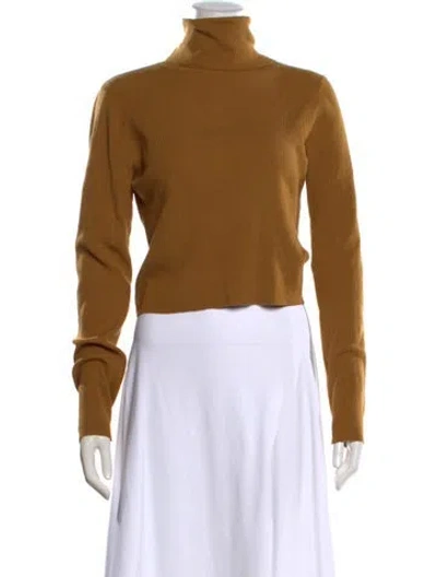 Pre-owned A.l.c Merino Wool Turtleneck Sweater In Brown