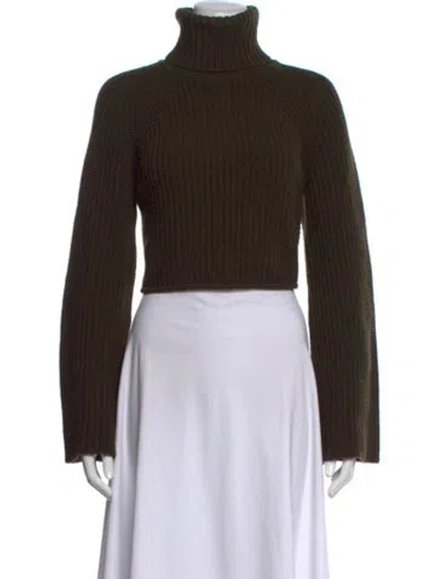 Pre-owned A.l.c Merino Wool Turtleneck Sweater In Green