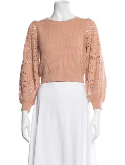 Pre-owned A.l.c Patterned Crew Neck Sweater In Neutrals