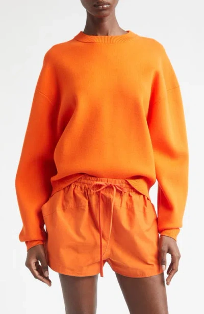A.l.c . Teddy Crewneck Sweater In Orange