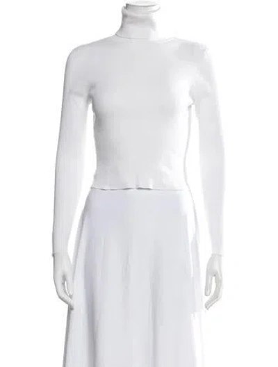 Pre-owned A.l.c Turtleneck Sweater In Neutrals