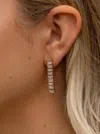 Alchemy & Co Hbic Earrings In Gold