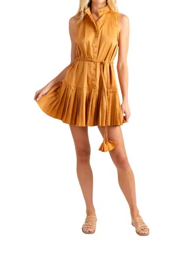 Alden Adair Bella Dress In Earth In Beige