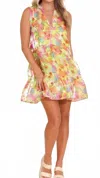 Alden Adair Gia Dress In Multi