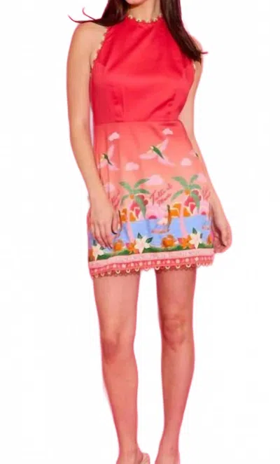 Alden Adair Millie Mini Dress In Paradise In Pink
