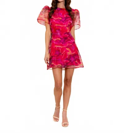 Alden Adair Mineral Hadley Mini Dress In Pink In Red