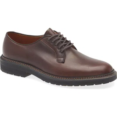 Alden Shoe Company Alden Plain Toe Blucher In Brown Aniline