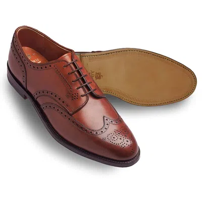 Alden Shoe Company Men's Short Wing Blucher Shoe In Walnut
