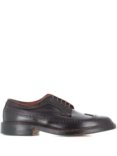 Alden Shoe Company Perforated Wingtip Derby In Brown