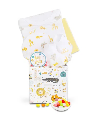 Alder Creek Gift Baskets Baby Gift Box, 4 Pieces In Transparent