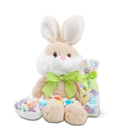 Alder Creek Gift Baskets Hoppy Easter Bunny Plush, 2 Pieces In No Color