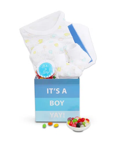 Alder Creek Gift Baskets It's A Boy Baby Gift Box, 4 Pieces In Transparent