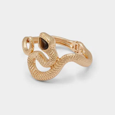 Aldo Adaeriel In Brown In Gold