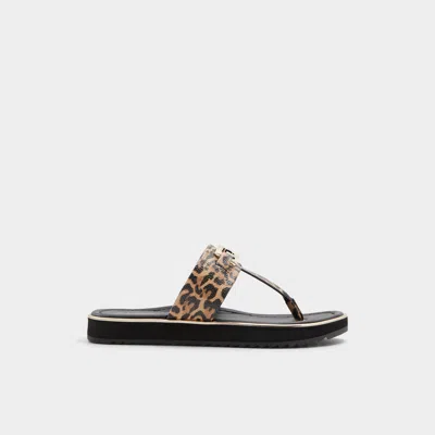 Aldo Adirahar In Brown Multi