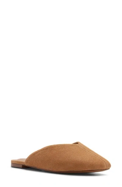 Aldo Aletaa Mule In Brown