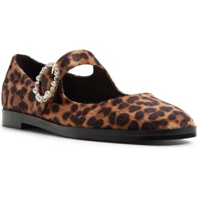Aldo Arabella Genuine Calf Hair Mary Jane Flat In Brown