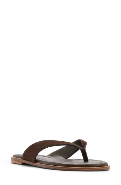 Aldo Autumnlee Flip Flop In Brown