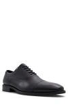 ALDO AYTON CAP TOE OXFORD