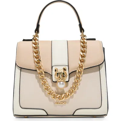 Aldo Bernius Tote Bag In Brown