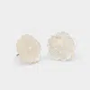 Aldo Camelliaa In Ice In Neutral