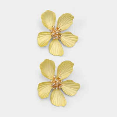 Aldo Cammelia In Yellow