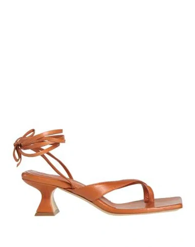 Aldo Castagna Woman Thong Sandal Tan Size 6 Leather In Brown