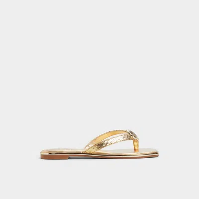 Aldo Conchiglia In Gold