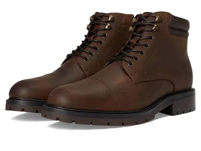 Aldo Darionn In Brown
