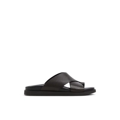 Aldo Darley In Brown