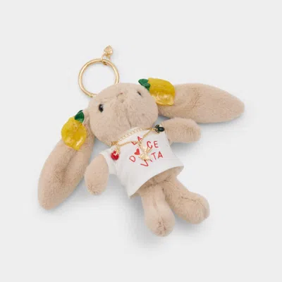 Aldo Dolcina In Brown