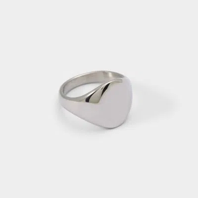 Aldo Enalaever In Silver In Metallic