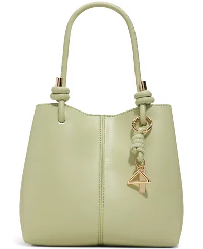 Aldo Evielilyyx Small Satchel Bag In Light Green