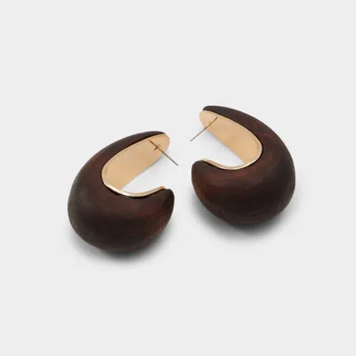 Aldo Faringdon In Brown In Gold