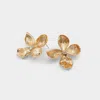 Aldo Floraluxe In Gold/clear Multi In Gold