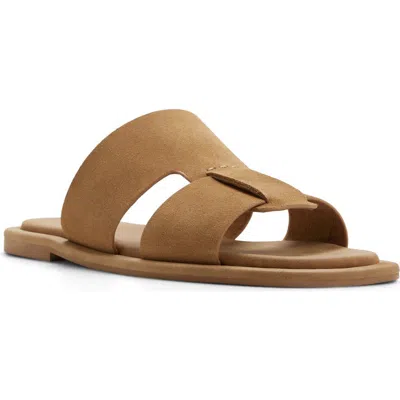 Aldo Josep Slide Sandal In Brown