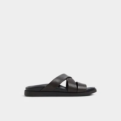 Aldo Kairo In Dark Brown