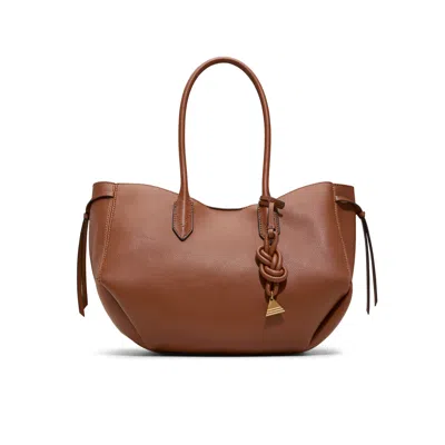 Aldo Kkorinnex In Brown