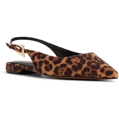 Aldo Kristell Pointed Toe Slingback Flat In Animal Print