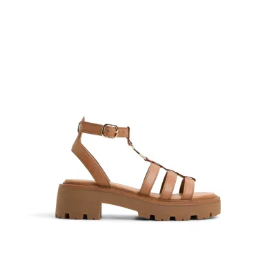 Aldo Lamington In Brown