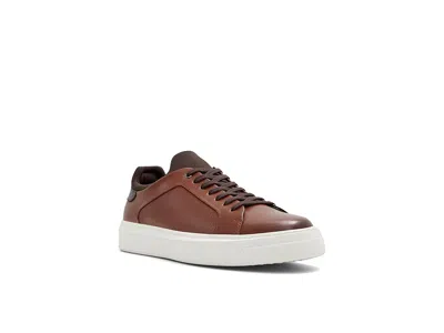 Aldo Leyton In Brown