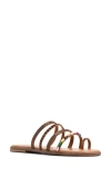 Aldo Women's Lindya Embellished Strappy Toe-loop Flat Sandals In Brown Multi