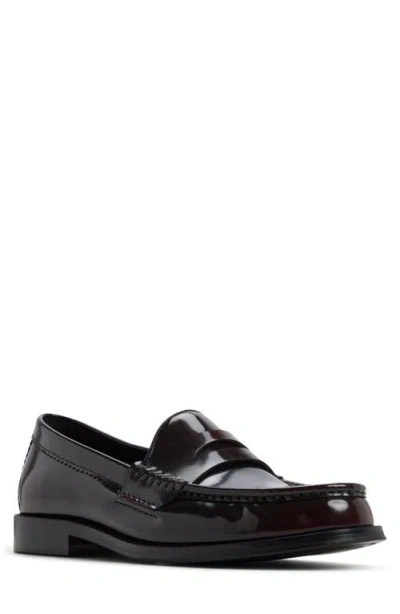 Aldo Ludovik Penny Loafer In Black