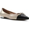 Aldo Women's Maddelyn Pointed-toe Ballerina Flats In Silver